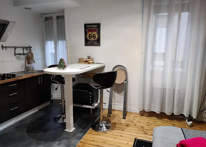 T2 Jardin Des Plantes Angers